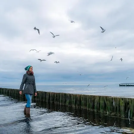 3 Meeresperlen Strandhaus Groß Schwansee