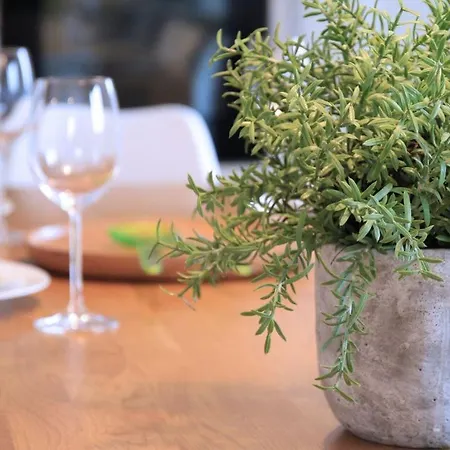 3 Meeresperlen Strandhaus * Groß Schwansee